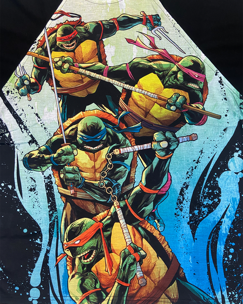 Ninja Turtles Sword Attack Oversized Raglan T-shirt