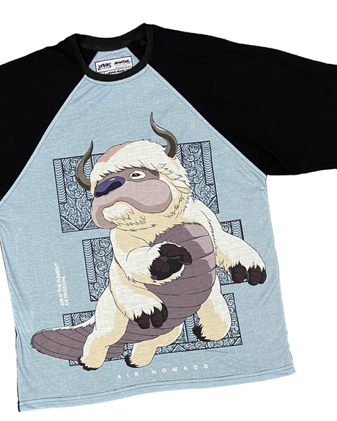 Avatar Appa Oversized Raglan T-shirt